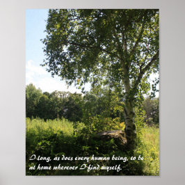 Birch Tree Inspiration Print Poster