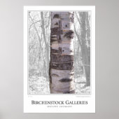 Birch Tree Poster (Vorne)