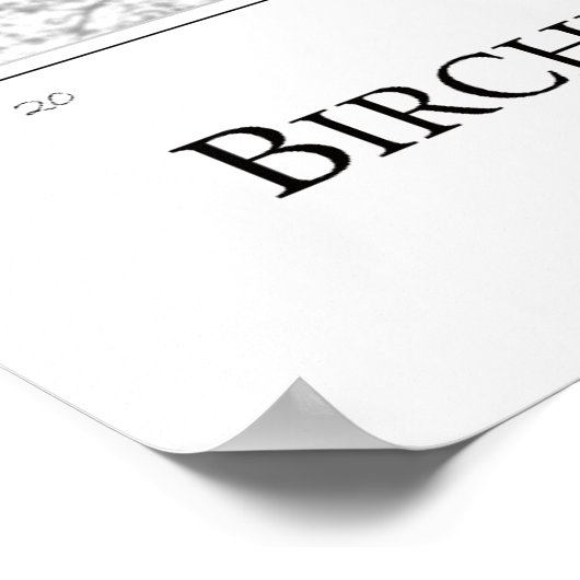 Birch Tree Poster (Ecke)