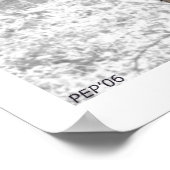 Birch Tree Poster (Ecke)