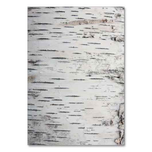 Birch Tree Rustic Woodland Hochzeitkarten Tischnummer (Rückseite)