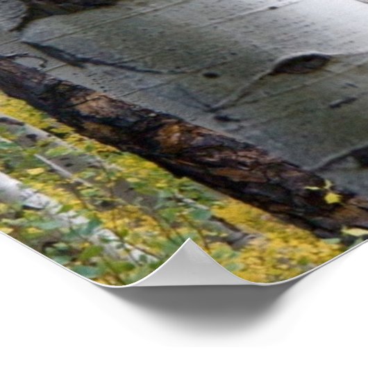 Birch Tree Rustikal Personalisiert mit Fox geschni Poster (Ecke)