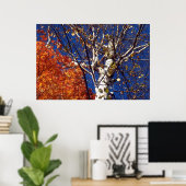 Birch Tree Top Poster (Heimbüro)