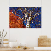 Birch Tree Top Poster (Küche)