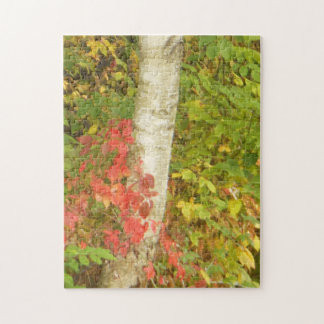 Birch Tree Trunk Puzzle