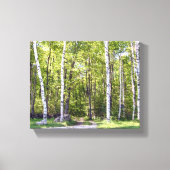 Birch Tree Woods Wrapped Canvas Leinwanddruck (Vorderseite)