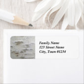 Birch Trees (Insitu)