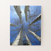 Birch Trees Colorado Puzzle (Vertikal)