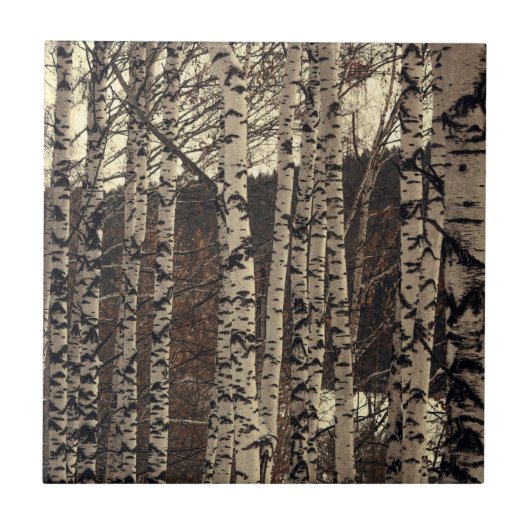 Birch Trees Forest Nature Fliese (Vorderseite)