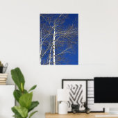 Birch Trees in Blue Poster (Heimbüro)
