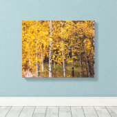 Birch Trees in der Nähe von Denali Alaska, Herbst, Leinwanddruck (Insitu (Holzboden))