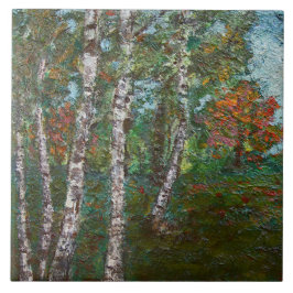 Birch Trees in einem rumänischen Wald (von Kimon L Fliese