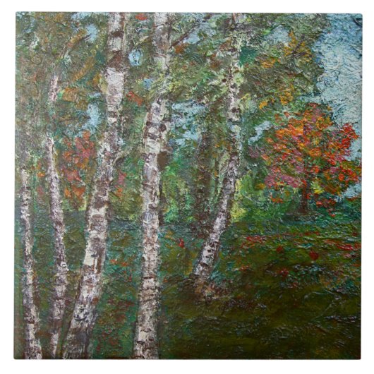 Birch Trees in einem rumänischen Wald (von Kimon L Fliese (Vorderseite)