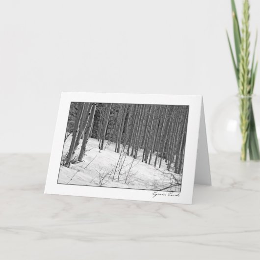 Birch Trees in Snow-Black & White Karte (Vorderseite)