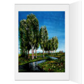 BIRCH TREES IN TUSCANY (Innen (Links))