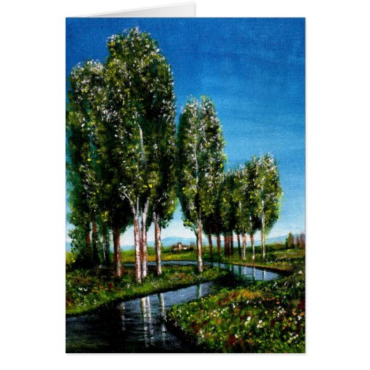 BIRCH TREES IN TUSCANY (Vorne)