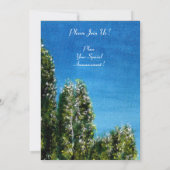 BIRCH TREES IN TUSCANY EINLADUNG (Rückseite)