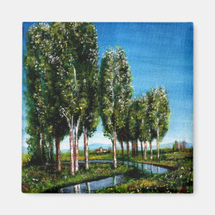 BIRCH TREES IN TUSCANY MAGNET