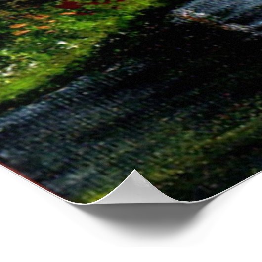 BIRCH TREES IN TUSCANY POSTER (Ecke)