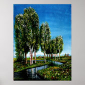 BIRCH TREES IN TUSCANY POSTER (Vorne)