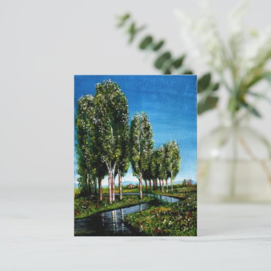 BIRCH TREES IN TUSCANY POSTKARTE (Stehend Vorderseite)