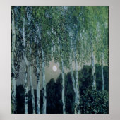 Birch Trees Poster (Vorne)