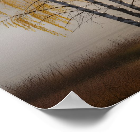 Birch Trees Poster (Ecke)