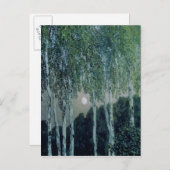 Birch Trees Postkarte (Vorne/Hinten)