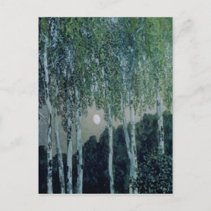 Birch Trees Postkarte