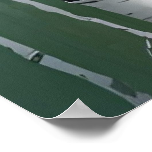 Birch Trees Print Modern Nature Poster (Ecke)