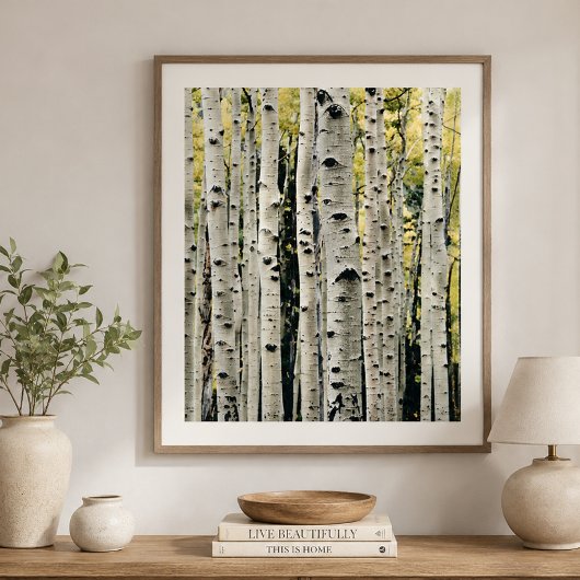 Birch Trees Rustic Cabin Poster