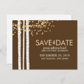 Birch Trees Save the Date Hochzeit Ankündigungspostkarte (Vorne/Hinten)