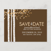 Birch Trees Save the Date Hochzeit Ankündigungspostkarte (Vorderseite)