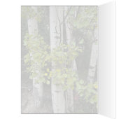 Birch Trees Skilak - 5" x 7" Art Card (Innen (Links))
