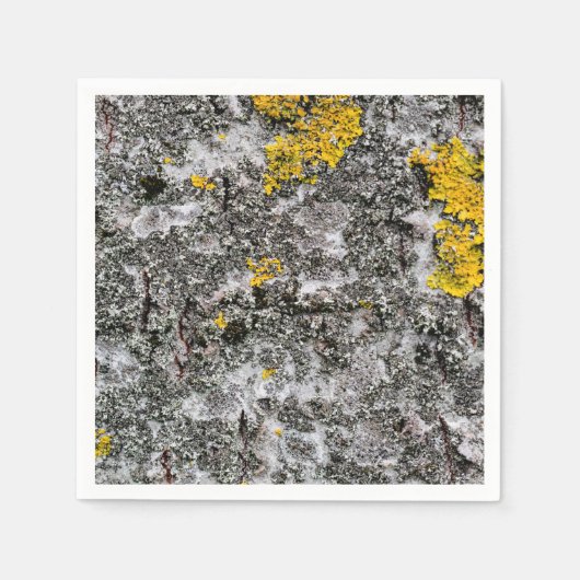 Birch und Lichen Serviette (Vorderseite)