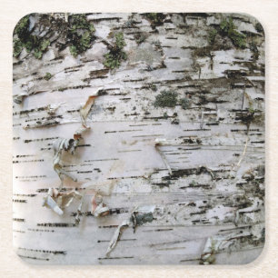 Birch Wood Untersetzer 001