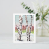Birch Woods Postcard Postkarte (Stehend Vorderseite)