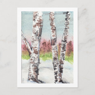 Birch Woods Postcard Postkarte