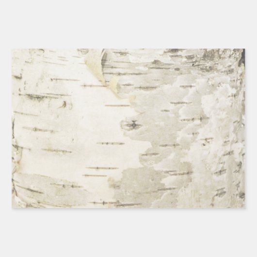 Birch Wrapping Paper Nature Birch Bark Paper Geschenkpapier Set (Vorderseite)