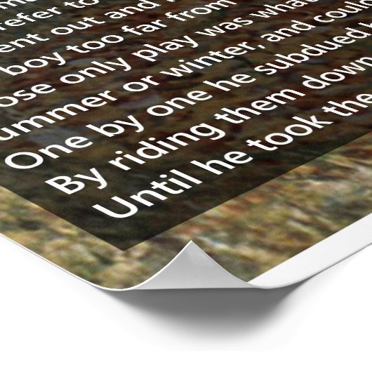 Birches von Robert Frost Complete Gedicht/Birkenwa Poster (Ecke)