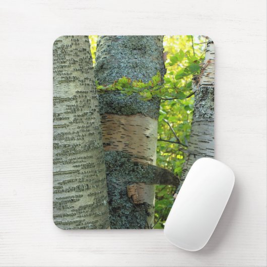 BirchTree Mousepad (Mit Mouse)
