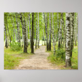 Birchwood Poster (Vorne)