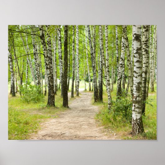 Birchwood Poster (Vorne)