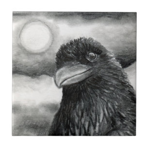 Bird 64 Crow Raven Fliese