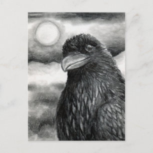Bird 64 Crow Raven Postkarte