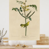 Bird, Amerika, Children Warbler, Audubon, Vintage, Poster (Küche)