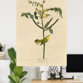 Bird, Amerika, Children Warbler, Audubon, Vintage, Poster (Heimbüro)