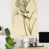 Bird, Amerika, Prairie Warbler, Audubon, Vintage, Poster (Heimbüro)