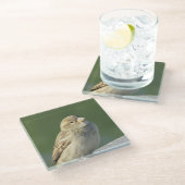 Bird Animal Foto Small Brown House Sparrow Glasuntersetzer (Schrägansicht)