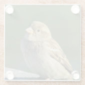 Bird Animal Foto Small Brown House Sparrow Glasuntersetzer (Rückseite)